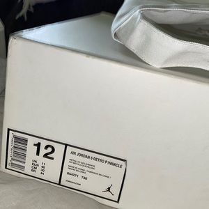 Pinnacle retro 6